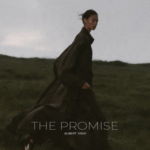 The Promise by Albert Vishi
