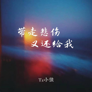 带走悲伤又还给我 ｜R&B 抖音歌 完整版｜ -Tz小狼 by 啊润-抖音Music