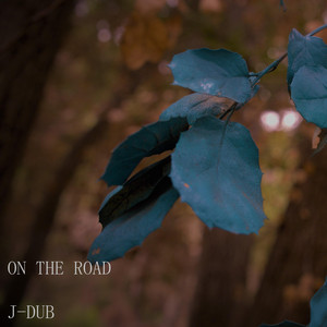 Jesse Ray Williams - On the Road