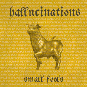 Hallucinations by Small Fools
