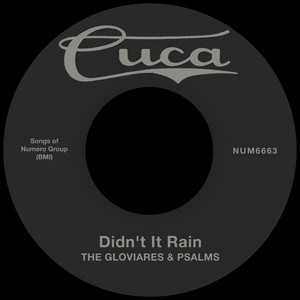 Psalms — Didn't It Rain (2026)