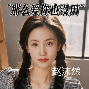 那么爱你也没用