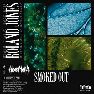 SMOKINSTINKYPT2 by HOODMAFIA, Roland Jones