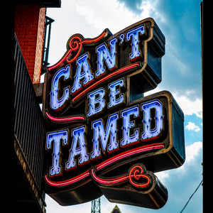 Can't Be Tamed by Logan Ellis