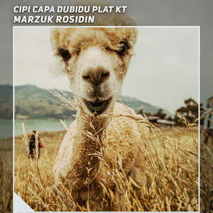 Marzuk Rosidin - Plat Kt Gemoy