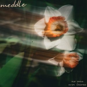 FACE GOD AND WALK BACKWARDS INTO HELL by meddle