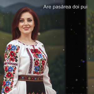 Dorina Dan - Are Pasărea Doi Pui