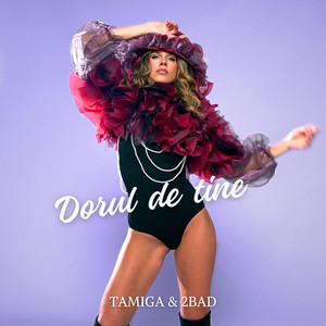 Dorul de Tine by Tamiga & 2Bad