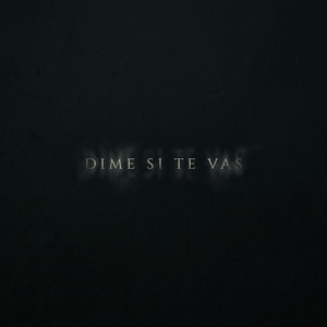 DIME SI TE VAS by Zayko