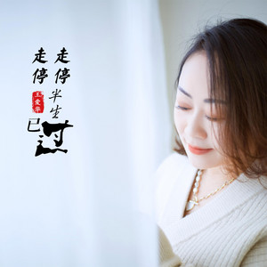 走走停停半生已过 - DJ默涵版 by 王爱华