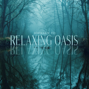 Journey to Relaxing Oasis: Deep Relaxing Massage, Spa for Body, Deep Sleep album