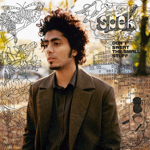 Don't Sweat the Small Stuff cover