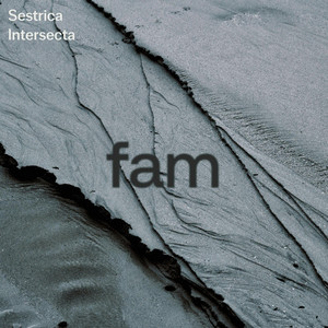 FAM cover art