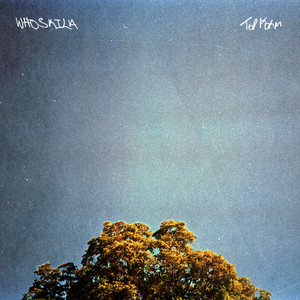 Top Form - No Drums by WHOSRILA