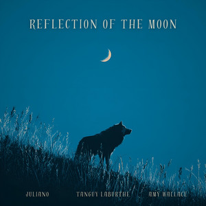 Reflection of the moon