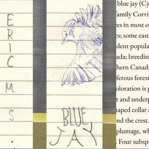Blue Jay by Eric Matthew Sukandy