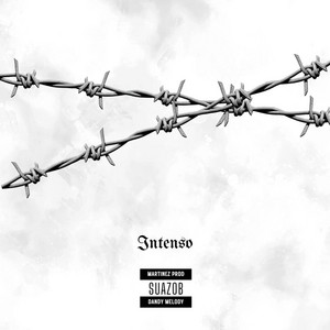 Intenso - Instrumental by Suazo Beats