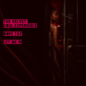 Let me in - Radio Edit by The Velvet Soul Experience, Dope TAF