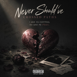 Never Should’ve Crossed Paths by Char Phoenix