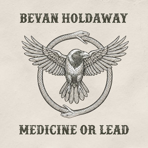 Medicine or Lead by Bevan Holdaway
