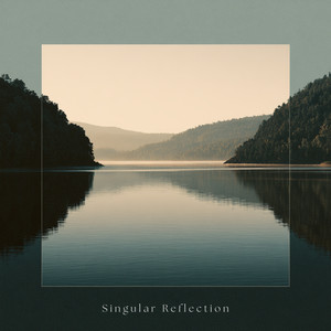 Singular Reflection by Domi Nova
