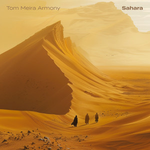 Tom Meira Armony - In the Beginning