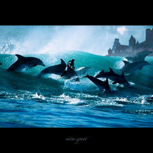 Dolphin Sounds by Retro.spect