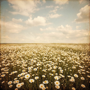 Mellowing by Utsuroi