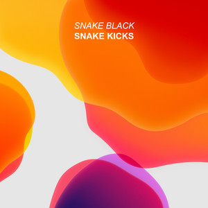 Explain by Snake Black