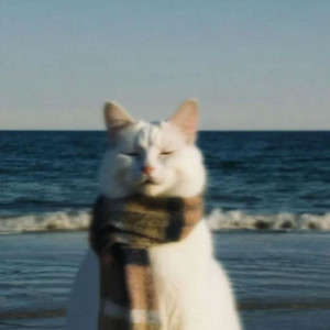 Bùi Quang Khánh & Minh Hieu - Chang the Cam Hoa X Le Ngang Troi 2025 - Mh Mix