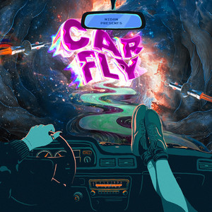 Car Fly