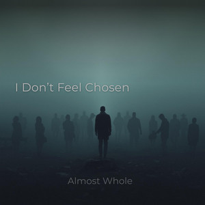 I Don't Feel Chosen by Almost Whole