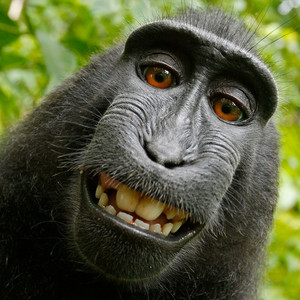 Leonardo Travensoli - Sikêra Júnior, Se Você Rir