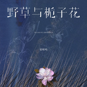 野草与栀子花 by 好听吗