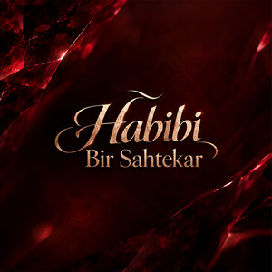 Habibi Bir Sahtekar by Heone Music