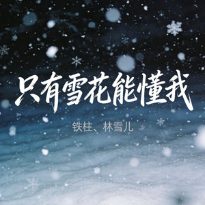 只有雪花能懂我 - 合唱版 by 铁柱, 林雪儿