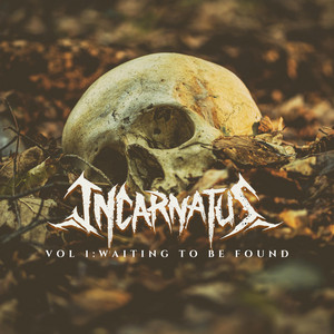 Incognito by Incarnatus