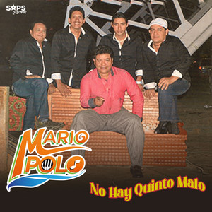 De Picada Vas by Mario Polo