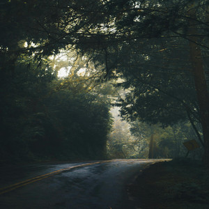 Quiet Return by Sora Lune