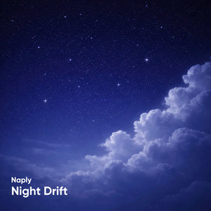 Midnight Fog by Naply
