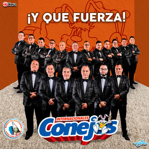 Internacionales Conejos - Lluvia de Primavera