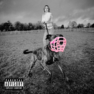 fetch by EVILLE