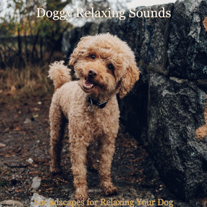 Soundscapes for Relaxing Your Dog album