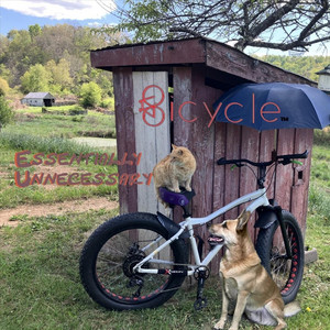 Head by Bicycle