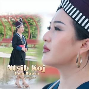 Pajzaub Thoj - Ntsib Koj Pem Dawm