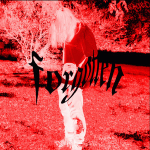 forgotten by despair