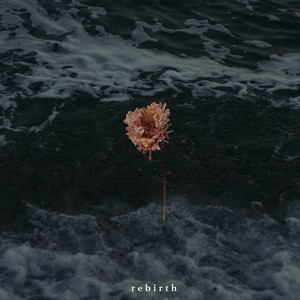 Oceans by Ollie Dixon