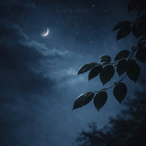 Linear by knownbyC