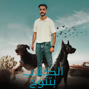 نافع مصر - الكلاب بتنوح