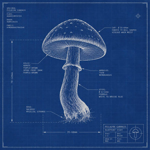 That One Shroom Trip On 07.25.25 by xi6, THR33